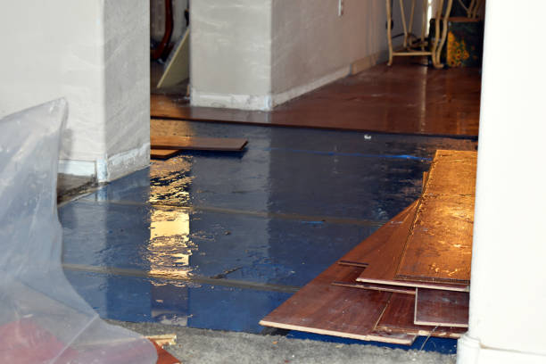 Professional Burst Pipe Cleanup technician working in Hermanville, MS